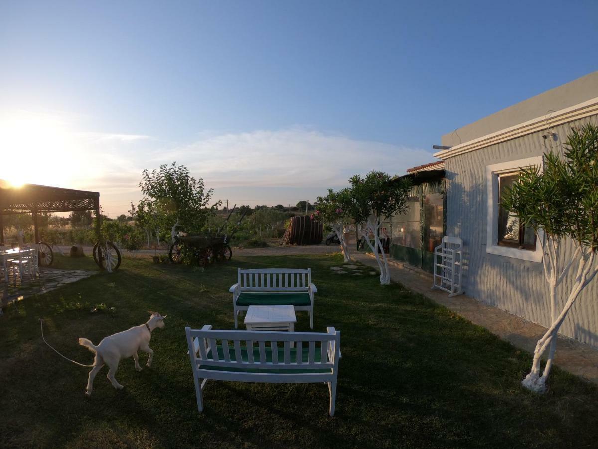 Bed and Breakfast Bagban Бозджаада Экстерьер фото