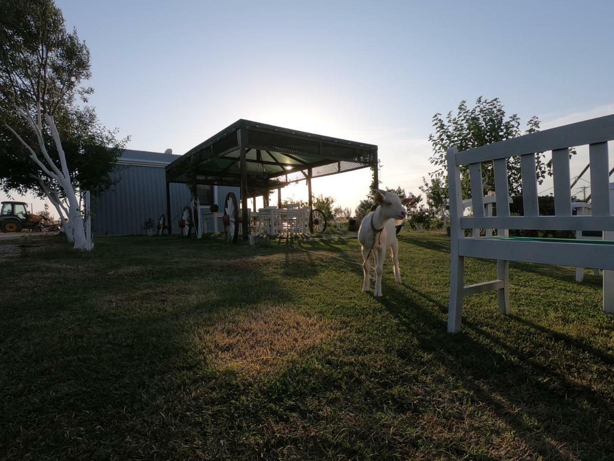Bed and Breakfast Bagban Бозджаада Экстерьер фото